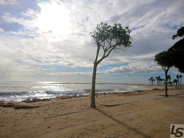 Spanien im … (Teil 2)